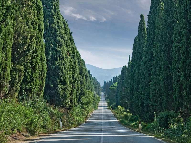 bolgheri