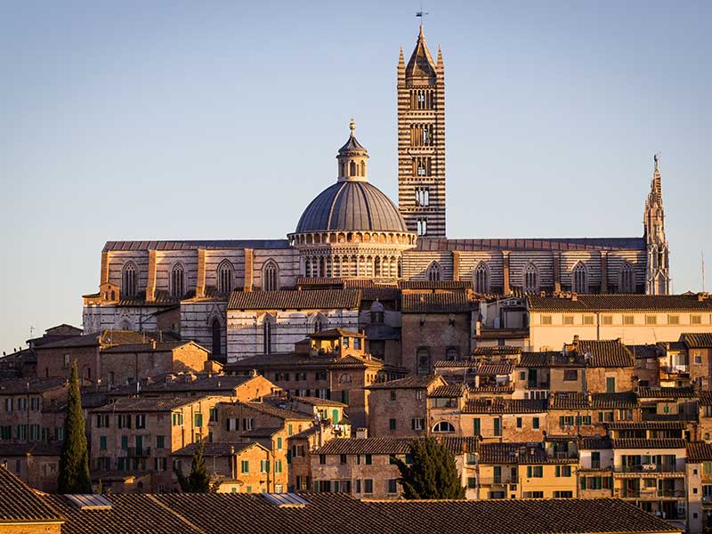 siena